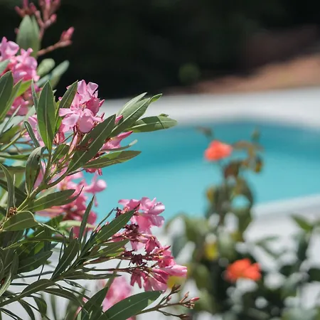 200m To Family House With Garden At Super Location * Balatonfüred
